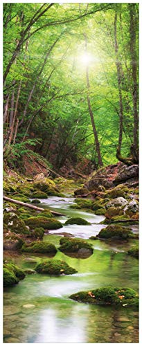 Wallario Glasbild Fluss im Wald - 32 x 80 cm Wandbilder Glas in Premium-Qualität: Brillante Farben, freischwebende Optik von Wallario