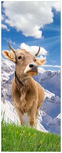 Wallario Glasbild Kuh im Sonnenschein in den Alpen - 32 x 80 cm Wandbilder Glas in Premium-Qualität: Brillante Farben, freischwebende Optik von Wallario