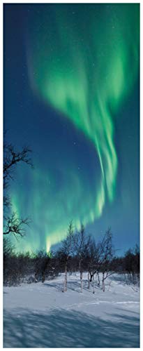 Wallario Glasbild Polarlicht in Schweden - 32 x 80 cm Wandbilder Glas in Premium-Qualität: Brillante Farben, freischwebende Optik von Wallario