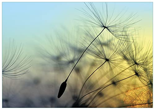 Wallario Glasbild Samen der Pusteblume in Nahaufnahme vor blauem Himmel - 70 x 100 cm Wandbilder Glas in Premium-Qualität: Brillante Farben, freischwebende Optik von Wallario