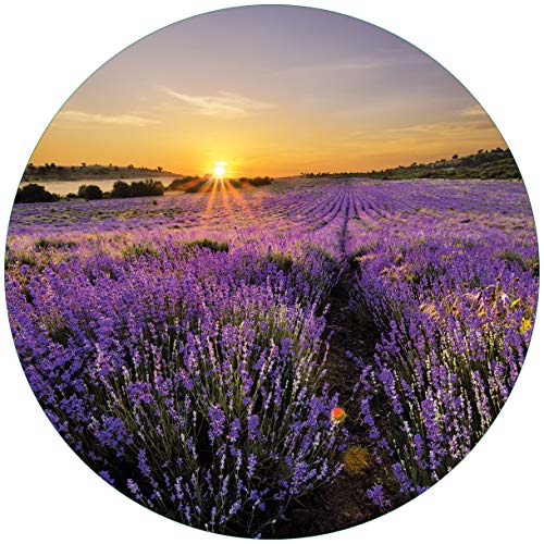 Wallario Glasbild rund Sonnenuntergang über dem Lavendel - Rund, 50 cm Durchmesser Wandbild Glas in Premium-Qualität: Brillante Farben, freischwebende Optik von Wallario
