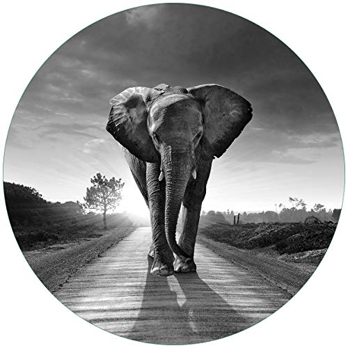 Wallario Glasbild rund Elefant bei Sonnenaufgang in Afrika schwarzweiß - Rund, 50 cm Durchmesser Wandbild Glas in Premium-Qualität: Brillante Farben, freischwebende Optik von Wallario