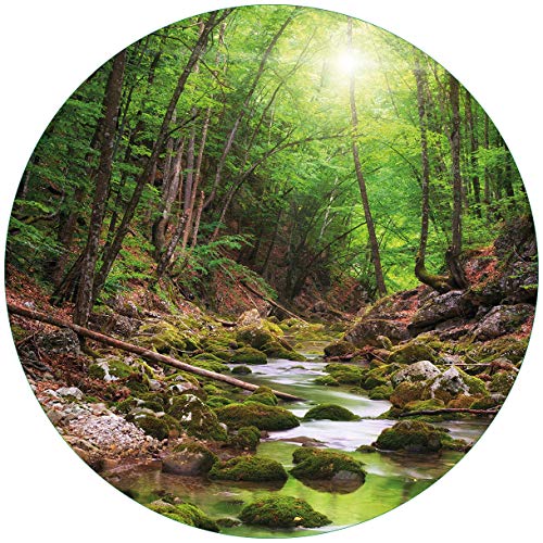 Wallario Glasbild rund Fluss im Wald - Rund, 50 cm Durchmesser Wandbild Glas in Premium-Qualität: Brillante Farben, freischwebende Optik Wallario Glasbild rund Fluss im Wald - Rund, 50 cm Durchmesser Wandbild Glas in Premium-Qualität: Brillante Farben, freischwebende Optik von Wallario