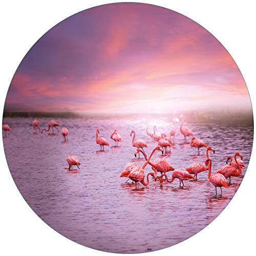 Wallario Glasbild rund Rosa Flamingos bei Sonnenuntergang - Rund, 50 cm Durchmesser Wandbild Glas in Premium-Qualität: Brillante Farben, freischwebende Optik von Wallario