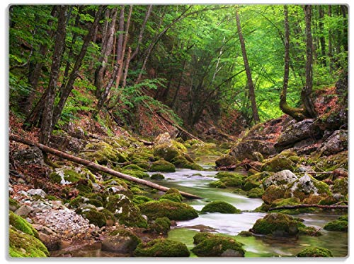 Wallario Glasunterlage/Schneidebrett aus Glas, Fluss im Wald, Größe 30 x 40 cm, Kratzfest, aus Sicherheitsglas Wallario Glasunterlage/Schneidebrett aus Glas, Fluss im Wald, Größe 30 x 40 cm, Kratzfest, aus Sicherheitsglas von Wallario