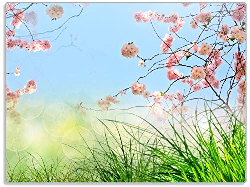 Wallario Glasunterlage/Schneidebrett aus Glas, Kirschblütenzweige und grüne Wiese- Frühling, Größe 30 x 40 cm, Kratzfest, aus Sicherheitsglas Wallario Glasunterlage/Schneidebrett aus Glas, Kirschblütenzweige und grüne Wiese- Frühling, Größe 30 x 40 cm, Kratzfest, aus Sicherheitsglas von Wallario