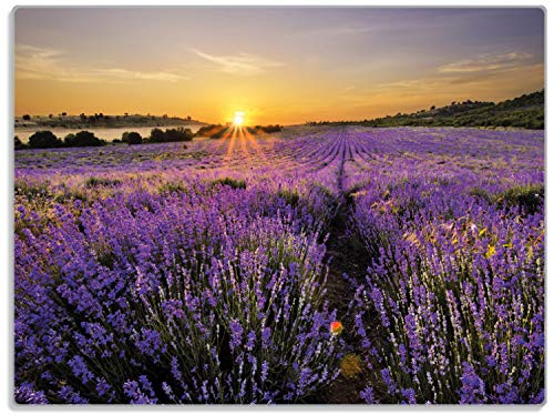 Wallario Glasunterlage/Schneidebrett aus Glas, Sonnenuntergang über dem Lavendel, Größe 30 x 40 cm, Kratzfest, aus Sicherheitsglas von Wallario