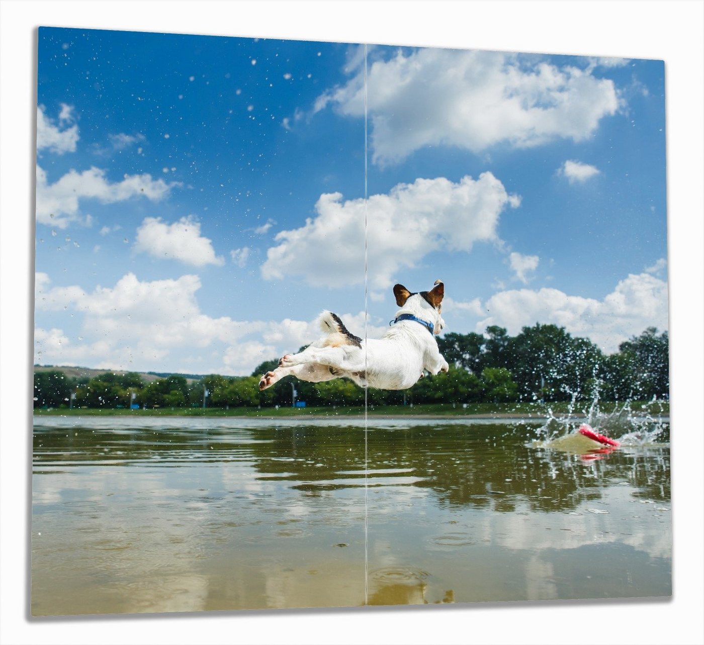 Wallario Herd-Abdeckplatte Jack Russel Terrier im Wasser, ESG-Sicherheitsglas, (Glasplatte, 2 tlg., inkl. 5mm Noppen), verschiedene Größen von Wallario