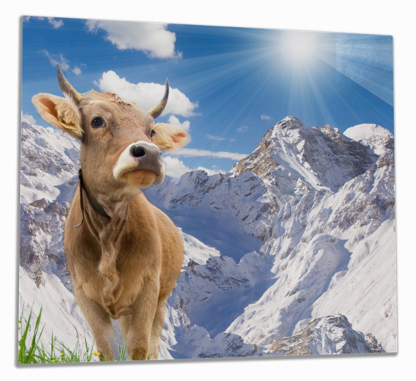 Wallario Herd-Abdeckplatte Kuh im Sonnenschein in den Alpen, ESG-Sicherheitsglas, (Glasplatte, 1 tlg., inkl. 5mm Noppen), verschiedene Größen von Wallario