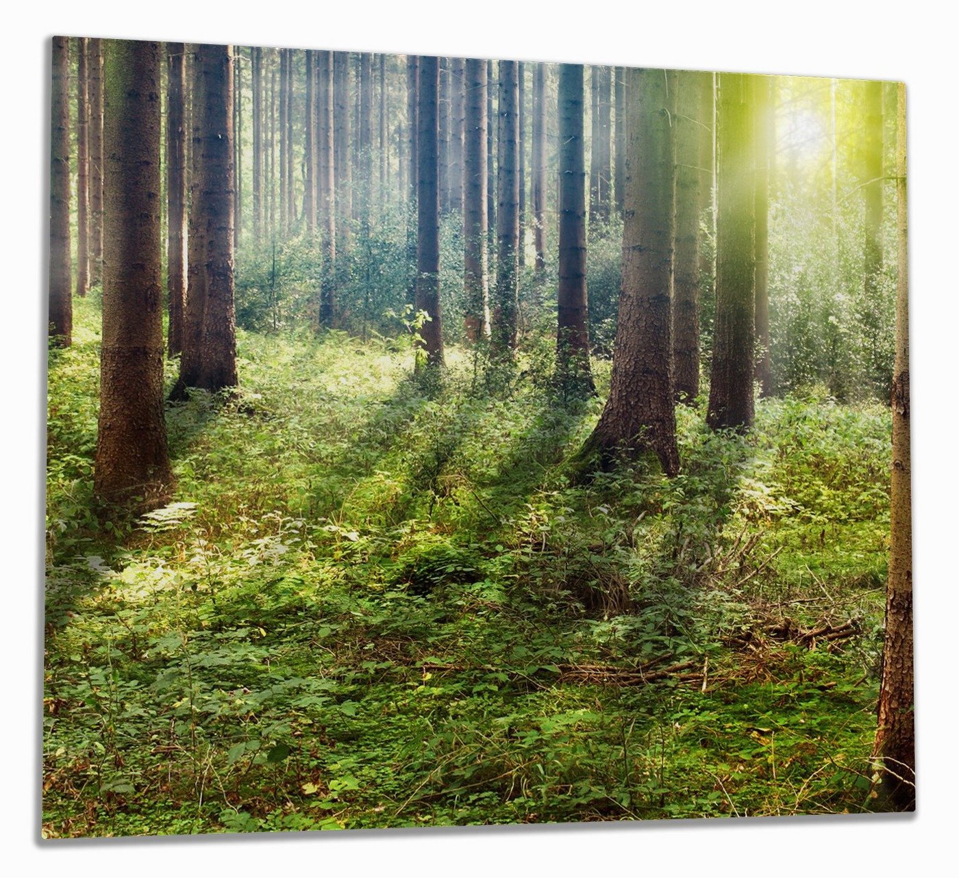 Wallario Herd-Abdeckplatte Sonnenuntergang im Wald zwischen den Bäumen, ESG-Sicherheitsglas, (Glasplatte, 1 tlg., inkl. 5mm Noppen), verschiedene Größen von Wallario
