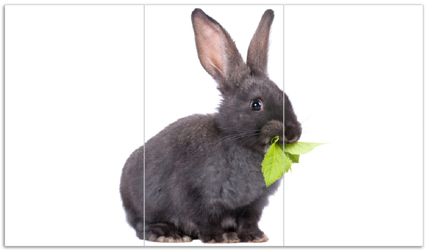 Wallario Herd-Abdeckplatte Süßes Kaninchen mit Grünzeug beim Futtern, ESG-Sicherheitsglas, (Glasplatte, 3 tlg., inkl. 5mm Noppen), verschiedene Größen von Wallario