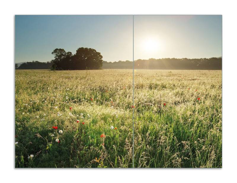 Wallario Herd-Abdeckplatte Wiese im Licht der Abendsonne, ESG-Sicherheitsglas, (Glasplatte, 2 tlg., inkl. 5mm Noppen), verschiedene Größen von Wallario