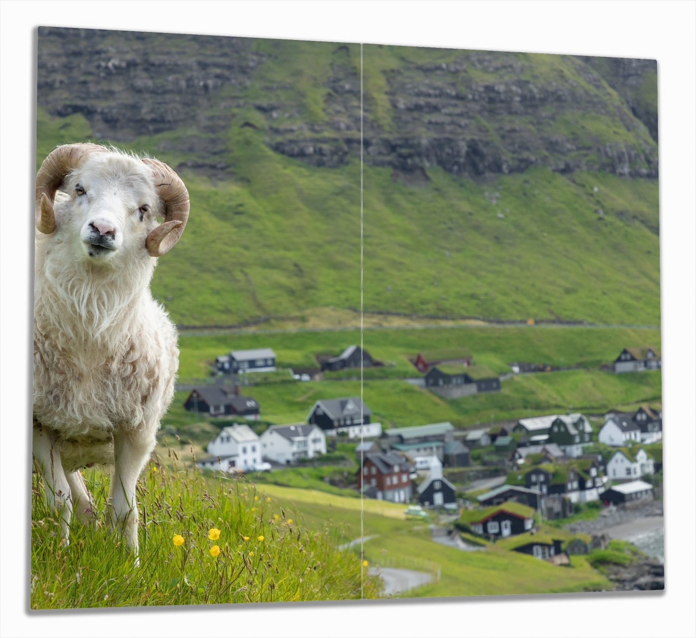 Wallario Herd-Abdeckplatte Wildes Schaf in der Natur, ESG-Sicherheitsglas, (Glasplatte, 2 tlg., inkl. 5mm Noppen), verschiedene Größen von Wallario