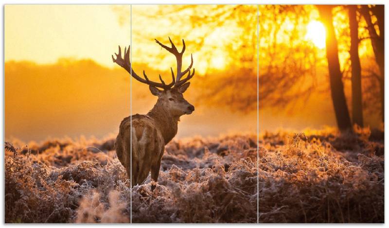 Wallario Herd-Abdeckplatte stattlicher Rothirsch im Morgengrauen, ESG-Sicherheitsglas, (Glasplatte, 3 tlg., inkl. 5mm Noppen), verschiedene Größen von Wallario