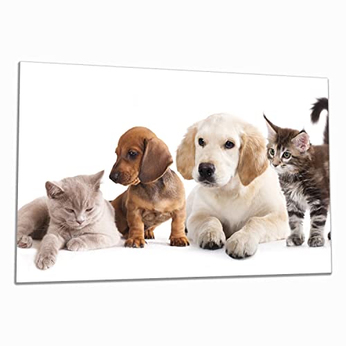 Wallario Herdabdeckplatte/Spritzschutz aus Glas, 1-teilig, 80x52cm, für Ceran- und Induktionsherde, Hundewelpen und Katzenjunge von Wallario