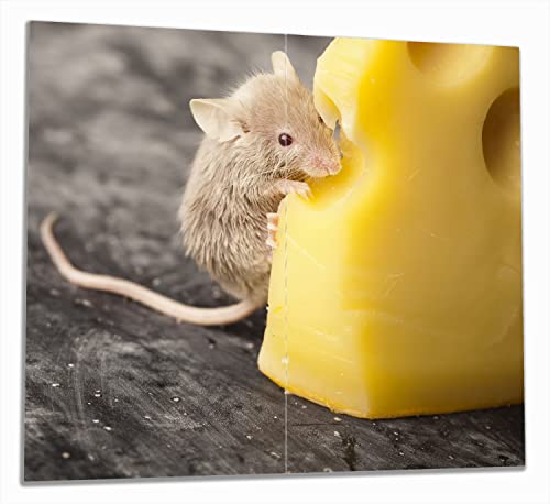 Wallario Herdabdeckplatte/Spritzschutz aus Glas, 2-teilig, 60x52cm mit 13mm hohen Füßen, für Ceran- und Induktionsherde, Süße Maus knabbert an einem Käse in der Küche von Wallario