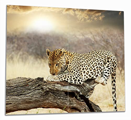 Wallario Herdabdeckplatte/Spritzschutz aus Glas, 2-teilig, 60x52cm mit 8mm hohen Füßen, für Ceran- und Induktionsherde, Leopard auf Baumstamm in Afrika von Wallario