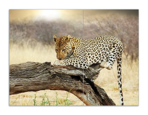 Wallario Herdabdeckplatte/Spritzschutz aus Glas, 2-teilig, 70x52cm, für Ceran- und Induktionsherde, Motiv Leopard auf Baumstamm in Afrika Wallario Herdabdeckplatte/Spritzschutz aus Glas, 2-teilig, 70x52cm, für Ceran- und Induktionsherde, Motiv Leopard auf Baumstamm in Afrika von Wallario