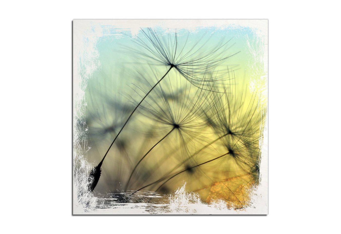 Wallario Holzbild, Samen der Pusteblume in Nahaufnahme vor blauem Himmel, in verschiedenen Ausführungen von Wallario