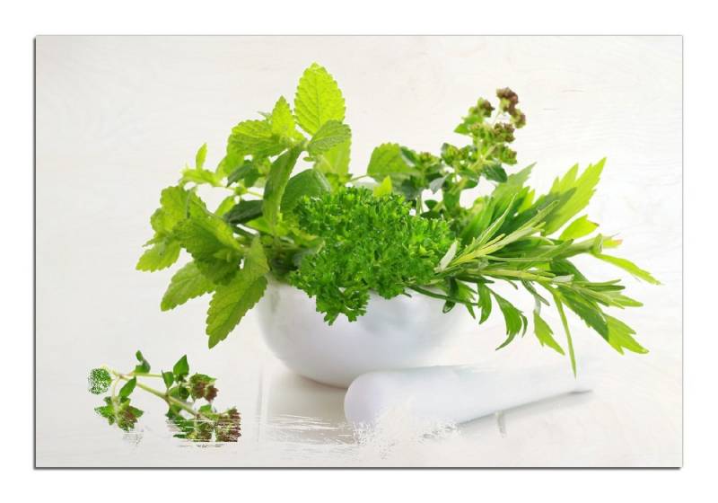 Wallario Holzbild, Welt der Kräuter - verschiedene Kräuter in einem weißen Mörser, in verschiedenen Ausführungen Wallario Holzbild, Welt der Kräuter - verschiedene Kräuter in einem weißen Mörser, in verschiedenen Ausführungen von Wallario