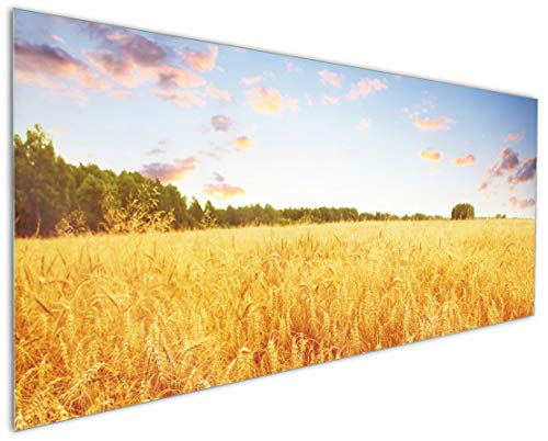 Wallario Küchen-Rückwand | Küchenspiegel Weizenfeld unter blauem Himmel in Premium-Qualität: Brillante Farben | abwischbar | pflegeleicht von Wallario