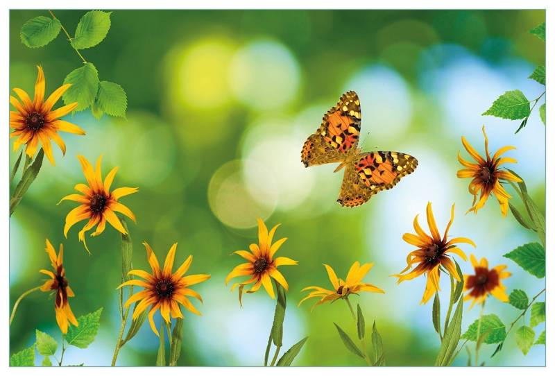 Wallario Küchenrückwand Blumen mit Schmetterling, (1-tlg) von Wallario