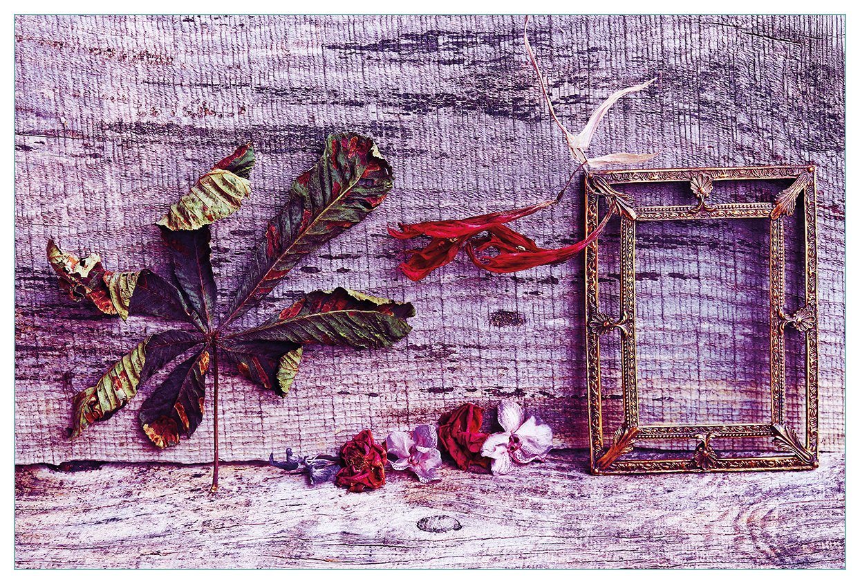 Wallario Küchenrückwand Getrocknete Blätter - Herbst Stillleben in lila, (1-tlg) von Wallario