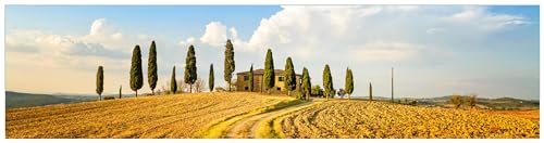 Wallario Küchenrückwand Hartschaumplatte, Spritzschutz Größe 200 x 50 cm, Fliesenspiegel mit Motiv: Italien - Toskana unter blauem Himmel einsame Farm von Wallario