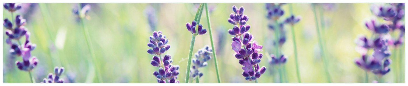 Wallario Küchenrückwand Lila Blumenfreude - Violette Pflanzen auf der Wiese, (2-tlg) von Wallario