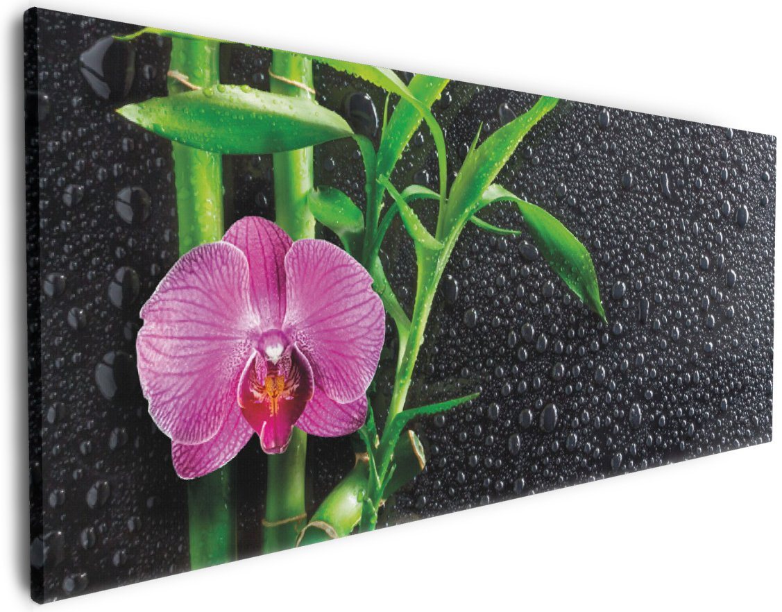 Wallario Leinwandbild, Bambus und pinke Orchidee auf schwarzem Glas mit Regentropfen, in verschiedenen Ausführungen Wallario Leinwandbild, Bambus und pinke Orchidee auf schwarzem Glas mit Regentropfen, in verschiedenen Ausführungen von Wallario