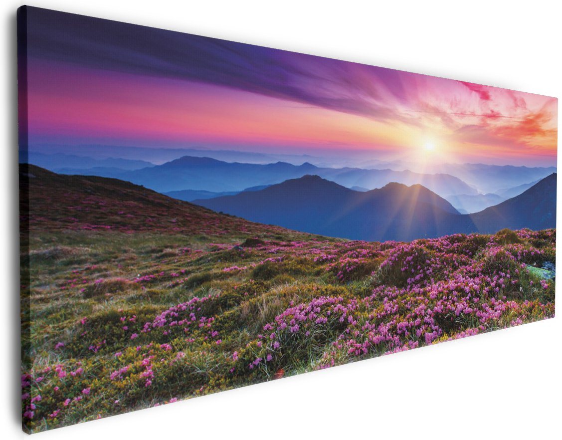 Wallario Leinwandbild, Blumenbedeckte Wiese bei Sonnenuntergang, in verschiedenen Ausführungen von Wallario