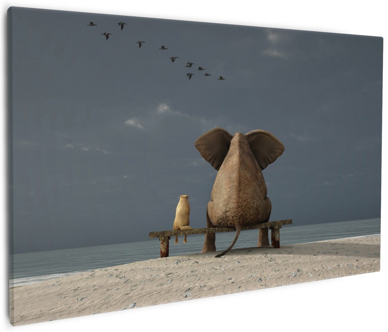 Wallario Leinwandbild, Elefant und Hund sitzen auf einer Bank, in verschiedenen Ausführungen von Wallario