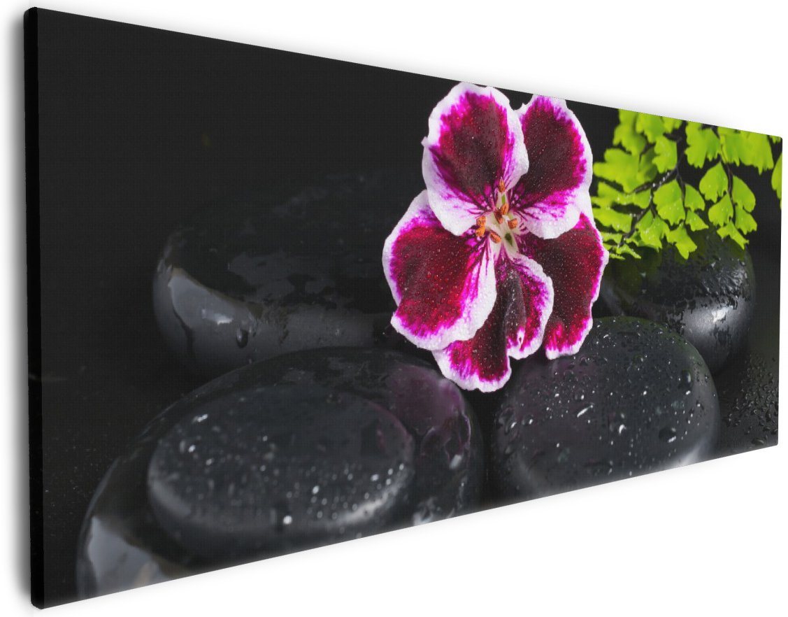 Wallario Leinwandbild, Geranienblüte auf schwarzen Steinen, benetzt mit Wassertropfen, in verschiedenen Ausführungen von Wallario
