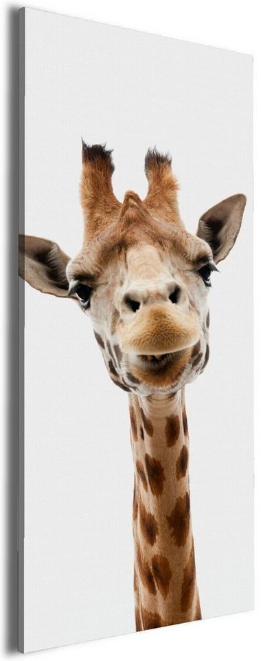 Wallario Leinwandbild, Giraffenkopf, in verschiedenen Ausführungen von Wallario