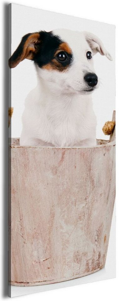 Wallario Leinwandbild, Hunde-Welpe Jack Russel Terrier in einem Holzeimer, in verschiedenen Ausführungen von Wallario