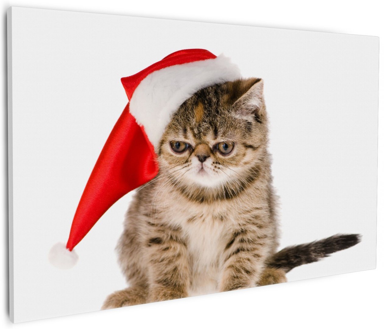 Wallario Leinwandbild, Ich hasse Weihnachten - mürrische Katze mit Weihnachtsmütze, in verschiedenen Ausführungen von Wallario