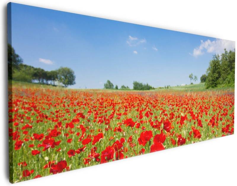 Wallario Leinwandbild, Mohnblumenfeld- rote Blumen unter blauem Himmel, in verschiedenen Ausführungen von Wallario