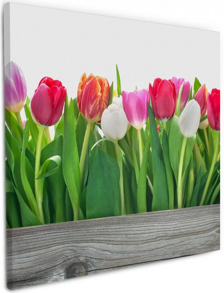 Wallario Leinwandbild, Rote weiße und pinke Tulpen im Frühling, in verschiedenen Ausführungen von Wallario