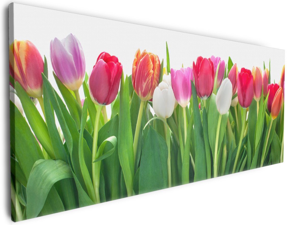 Wallario Leinwandbild, Rote weiße und pinke Tulpen im Frühling, in verschiedenen Ausführungen von Wallario