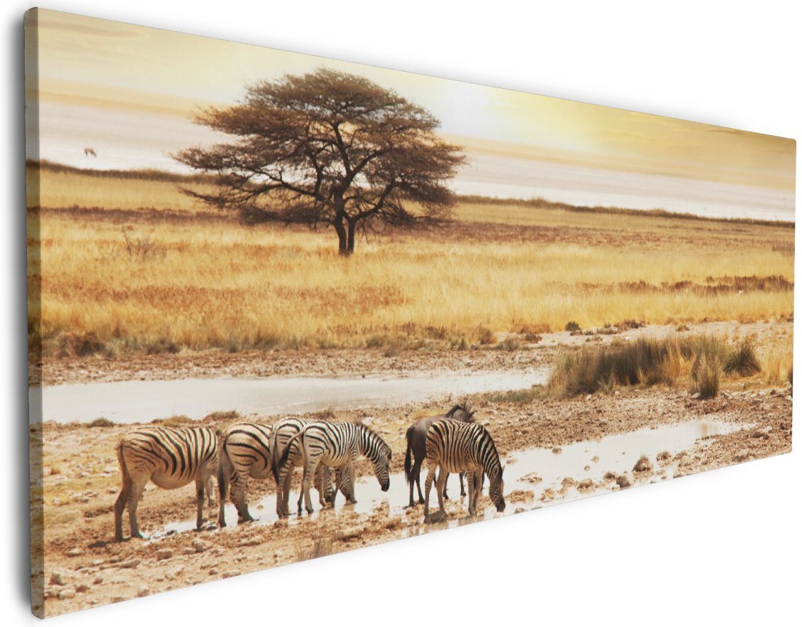 Wallario Leinwandbild, Safari in Afrika eine Herde Zebras am Wasser, in verschiedenen Ausführungen von Wallario