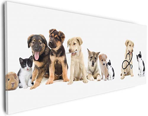 Wallario Leinwandbild Süße Haustiere - Katzen Hunde Hamster Küken I - Wandbild 30 x 75 cm: Kunstdruck | Brillante lichtechte Farben | hochauflösend | verzugsfrei von Wallario