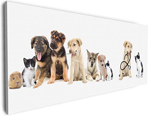 Wallario Leinwandbild Süße Haustiere - Katzen Hunde Hamster Küken I - Wandbild 50 x 125 cm: Kunstdruck | Brillante lichtechte Farben | hochauflösend | verzugsfrei von Wallario