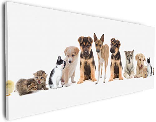 Wallario Leinwandbild Süße Haustiere - Katzen Hunde Hamster Küken II - Wandbild 30 x 75 cm: Kunstdruck | Brillante lichtechte Farben | hochauflösend | verzugsfrei von Wallario