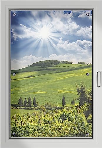 Wallario Lichtschutzbild, Dekorativer Sichtschutz Sonnenschutz 60 x 93 cm mit Motiv: Strahlender Sonnenschein - Verdunklungsrollo ohne Bohren von Wallario