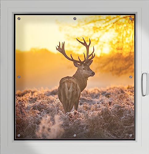 Wallario Lichtschutzbild, Dekorativer Sichtschutz Sonnenschutz 96 x 93 cm mit Motiv: stattlicher Rothirsch im Morgengrauen - Verdunklungsrollo ohne Bohren von Wallario