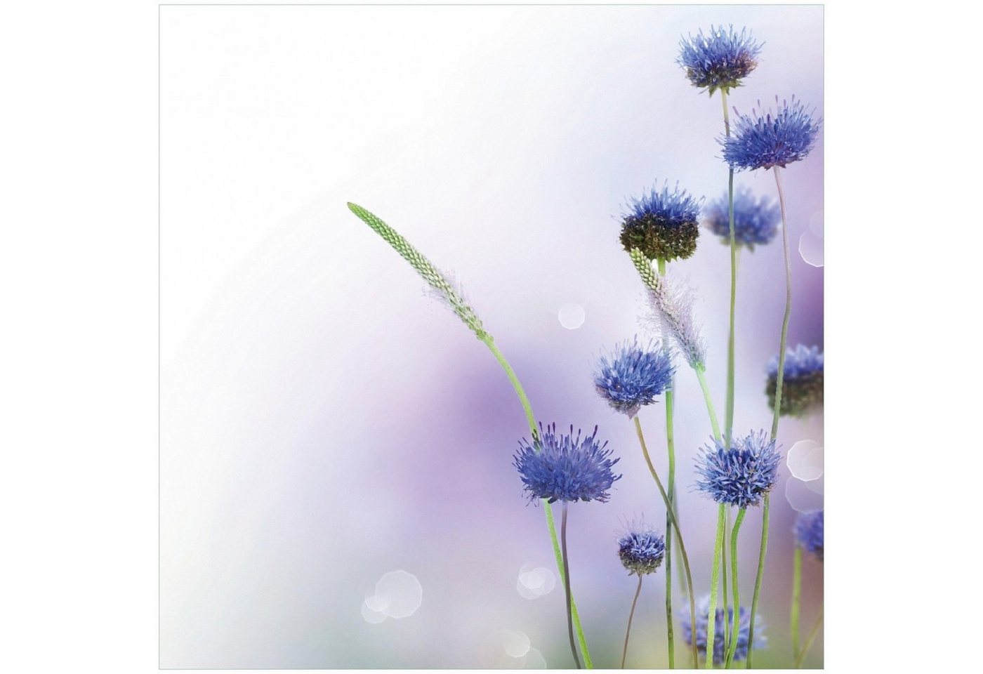 Wallario Memoboard Abstrakte lila Blume von Wallario