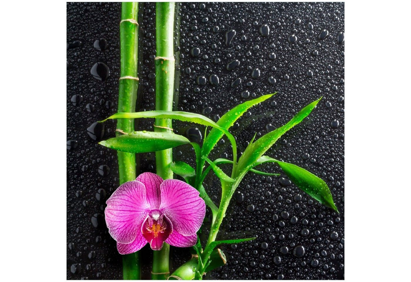 Wallario Memoboard Bambus und pinke Orchidee auf schwarzem Glas mit Regentropfen von Wallario