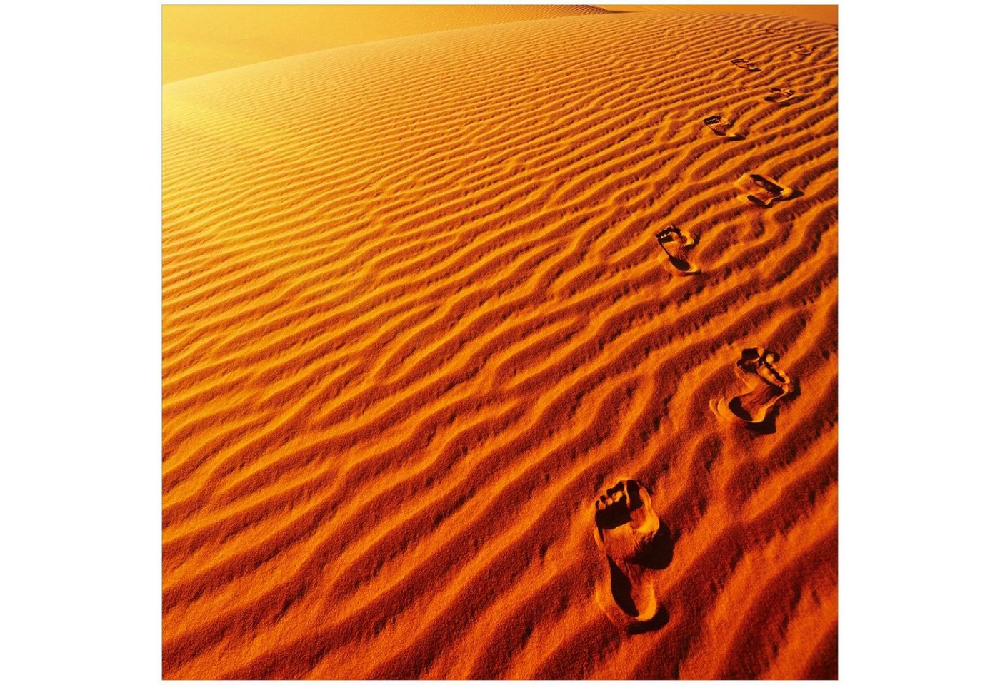 Wallario Memoboard Fußspuren im Sand - Sanddüne in der Wüste von Wallario