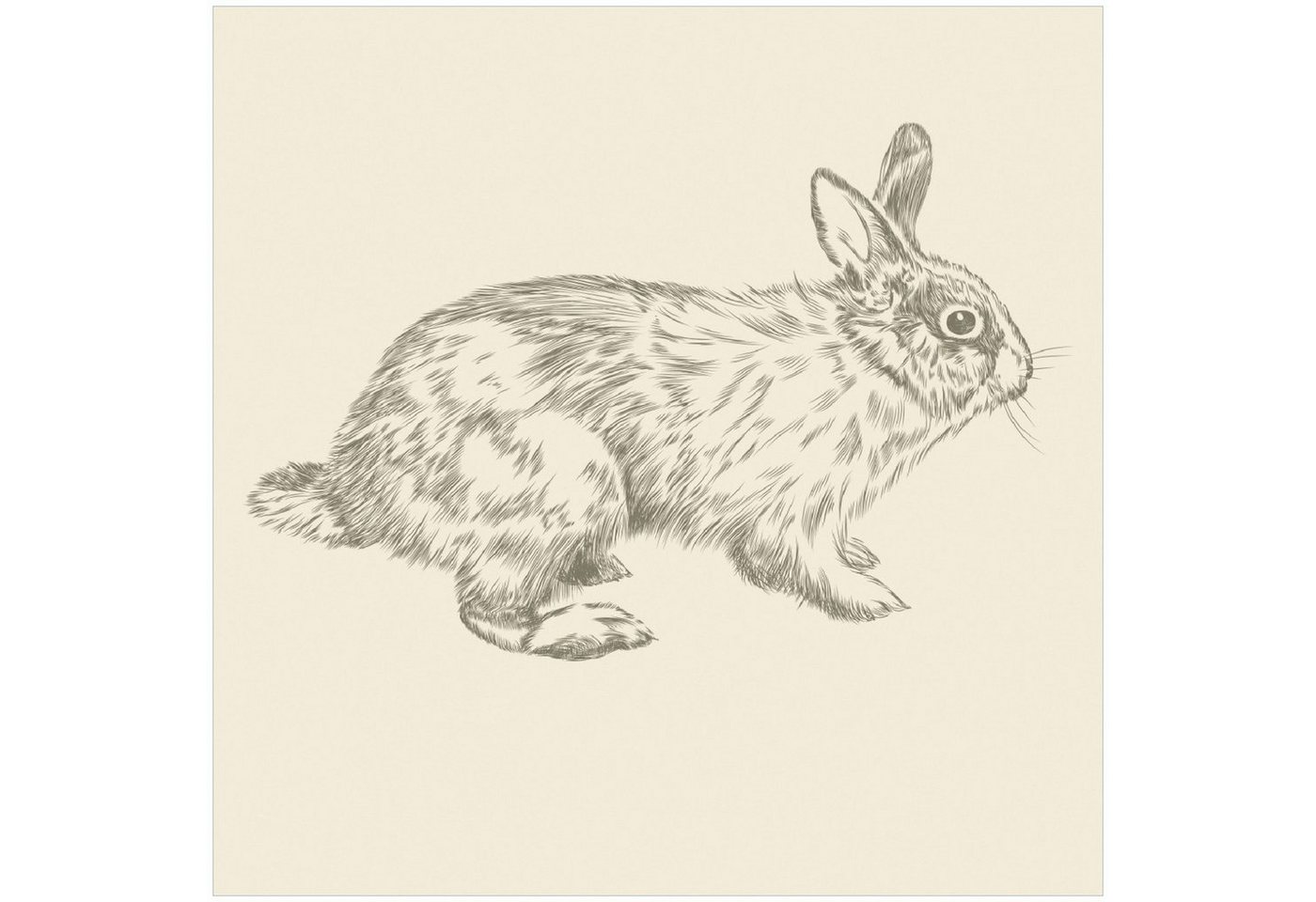 Wallario Memoboard Hase als illustrierte Bleistiftzeichnung von Wallario