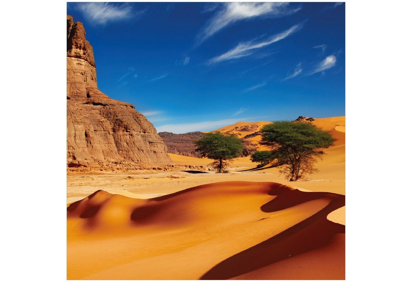 Wallario Memoboard In der Wüste Sahara von Wallario